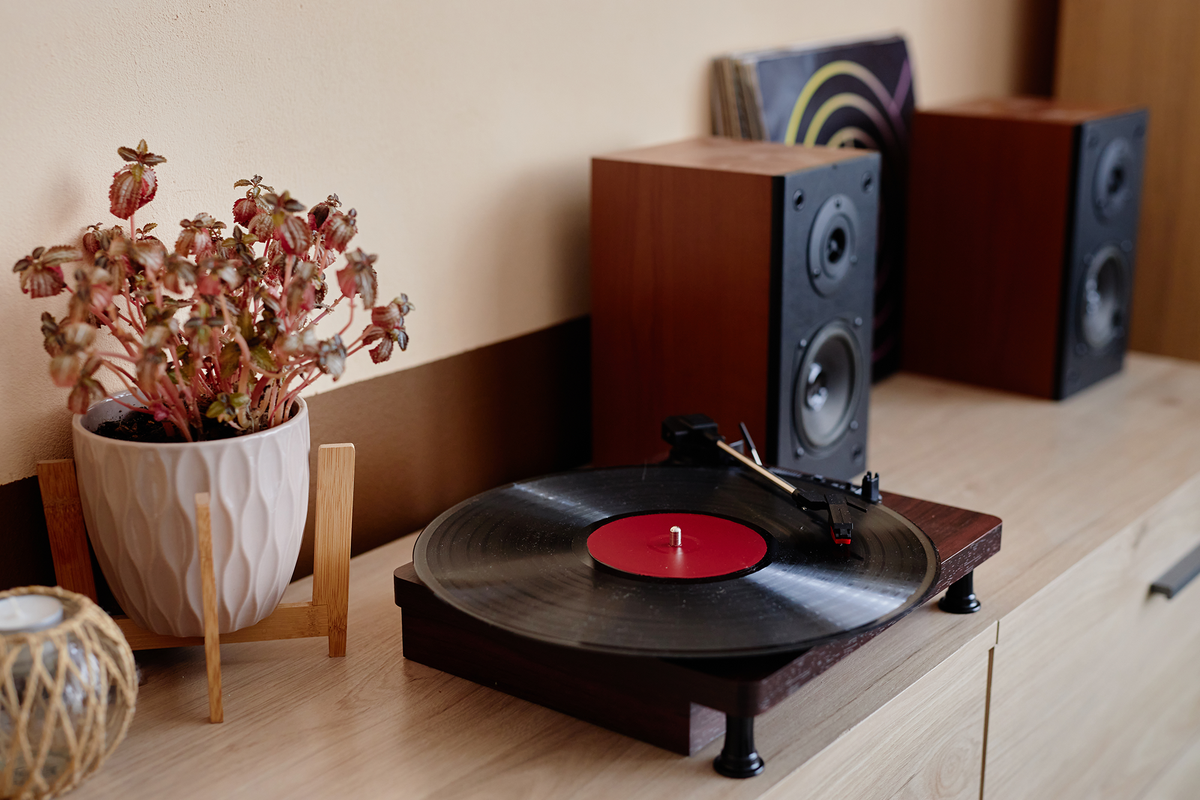 A retro vinyl record player with speakers and a potted plant