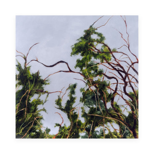 Branches and Sky by Freya Grand, oil on panel