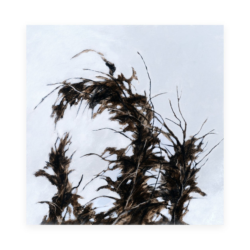 Branches and Sky II by Freya Grand, oil on panel
