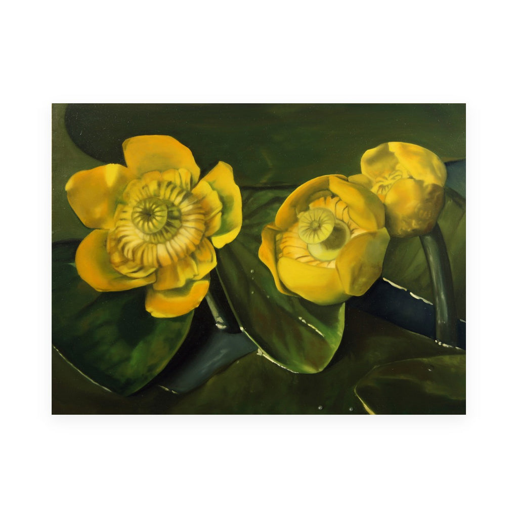 Yellow Lilies by Rebecca Ford, archival print